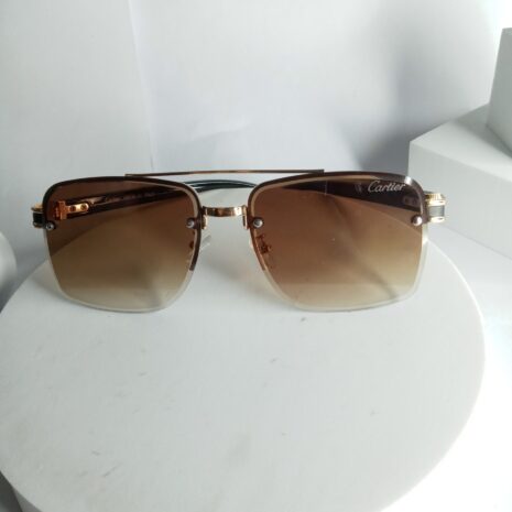 Cartier-Big-Glasses-CA28-1-rotated-1.jpg