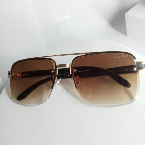 Cartier-Big-Glasses-CA28-6-rotated-1.jpg
