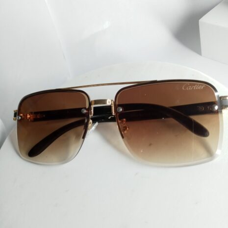 Cartier-Big-Glasses-CA28-7-rotated-1.jpg