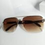 Cartier-Big-Glasses-CA28-7-rotated-1.jpg