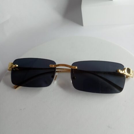 Cartier-Frameless-Elephant-Glasses-CA318-5-rotated-1.jpg