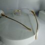 Cartier-Frameless-Leopard-Glasses-CA47-9-rotated-1.jpg