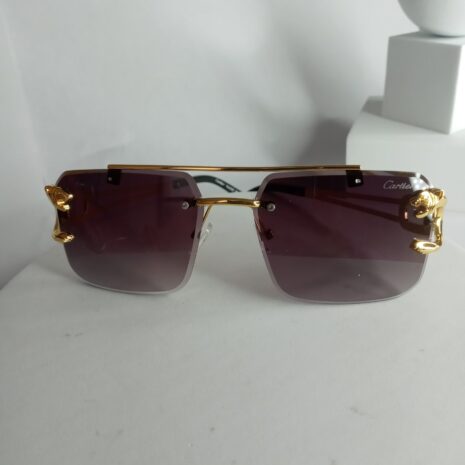 Cartier-Lion-Frame-Glasses-CA22-11-rotated-1.jpg