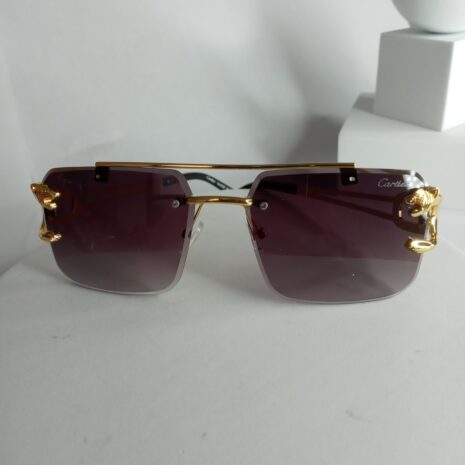 Cartier-Lion-Frame-Glasses-CA22-12-rotated-1.jpg