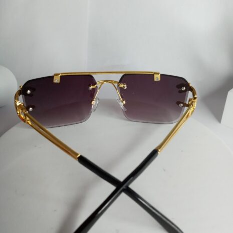 Cartier-Lion-Frame-Glasses-CA22-4-rotated-1.jpg