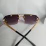 Cartier-Lion-Frame-Glasses-CA22-4-rotated-1.jpg