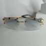 Cartier-Lion-Frame-Glasses-CA22-5-rotated-1.jpg