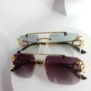 Cartier-Lion-Frame-Glasses-CA22-8-rotated-1.jpg