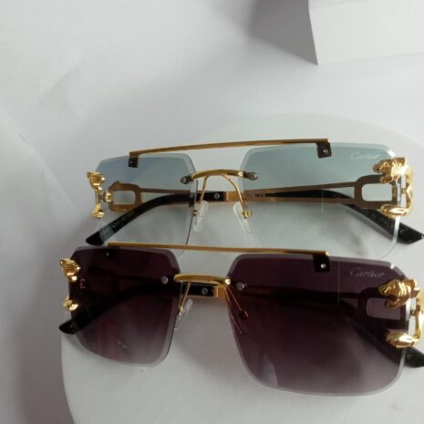 Cartier-Lion-Frame-Glasses-CA22-9-rotated-1.jpg