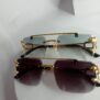 Cartier-Lion-Frame-Glasses-CA22-9-rotated-1.jpg