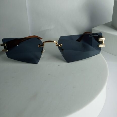 Cartier-Pentagon-Shape-Glasses-CA18-2-rotated-1.jpg