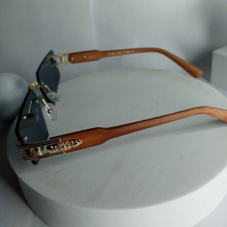 Cartier-Pentagon-Shape-Glasses-CA18-3-rotated-1.jpg