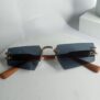 Cartier-Pentagon-Shape-Glasses-CA18-7-rotated-1.jpg