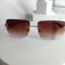 Cartier-Plastic-Framless-Glasses-CA317-1-rotated-1.jpg