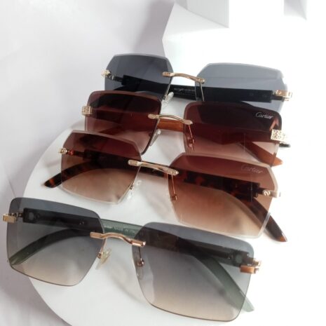 Cartier-Plastic-Framless-Glasses-CA317-12-rotated-1.jpg