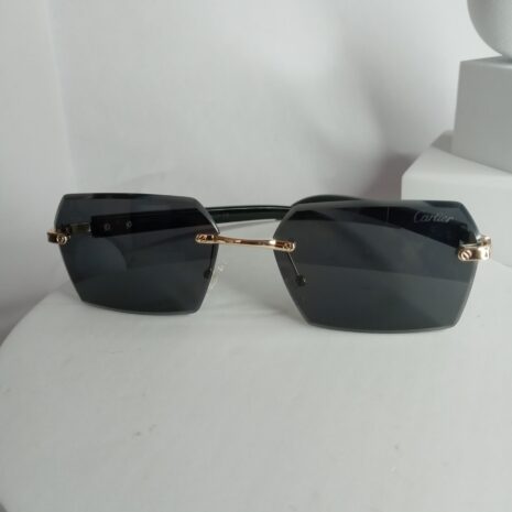 Cartier-Plastic-Framless-Glasses-CA317-7-rotated-1.jpg