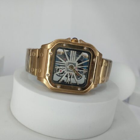 Cartier-Twenty-20-N2030-Transparent-Watch-3.jpg