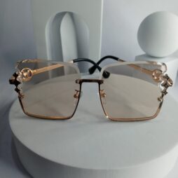 Louis Vuitton Star Side Mens Glasses LV76