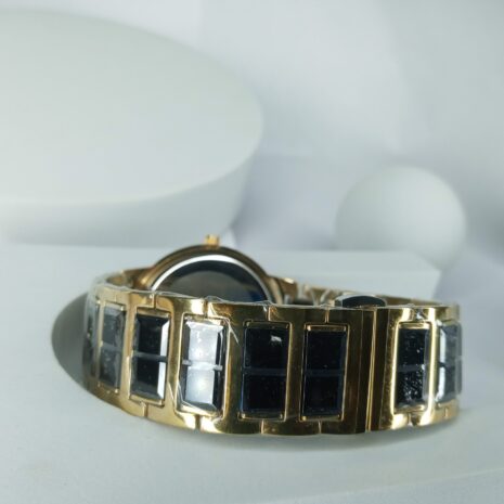 Rado-Sapphirre-680G-Mens-Chain-Watch-7.jpg