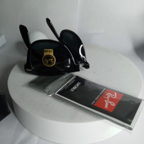 Ray-Bam-Foldable-Glasses-RB205-2-rotated-1.jpg