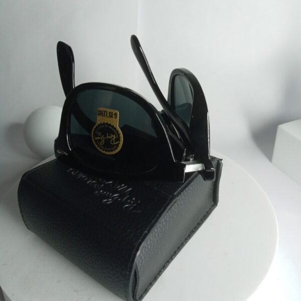 Ray-Ban Wayfarer G-15 Lens Sunglasses - Classic Black