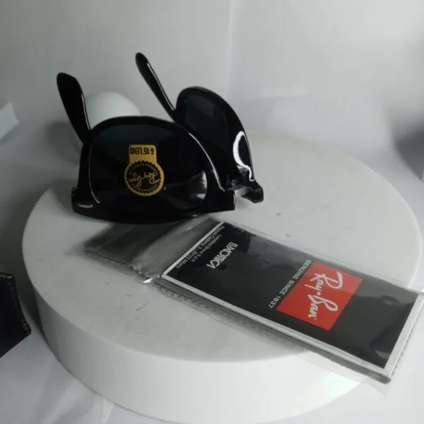 Ray-Ban Wayfarer G-15 Lens Sunglasses - Classic Black