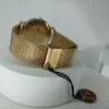 St. Alexander Gold Quartz Classic Chain Watch